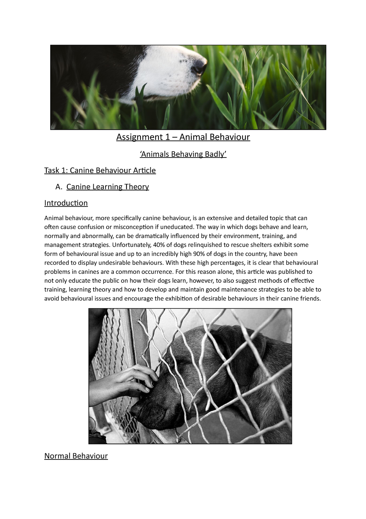 Assignment 1 - Animal Behaviour T1 - Assignment 1 – Animal Behaviour ' Animals Behaving Badly' Task - Studocu
