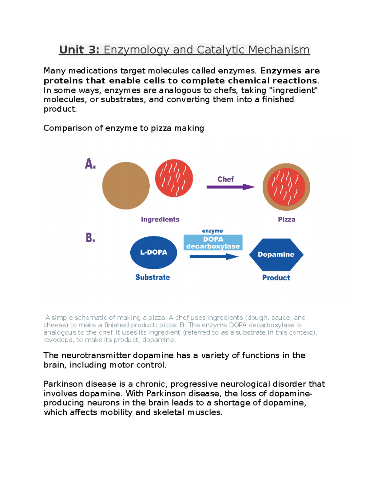 Biochemistry 1 - Summary Of Amino Acid And Protein Structures ...