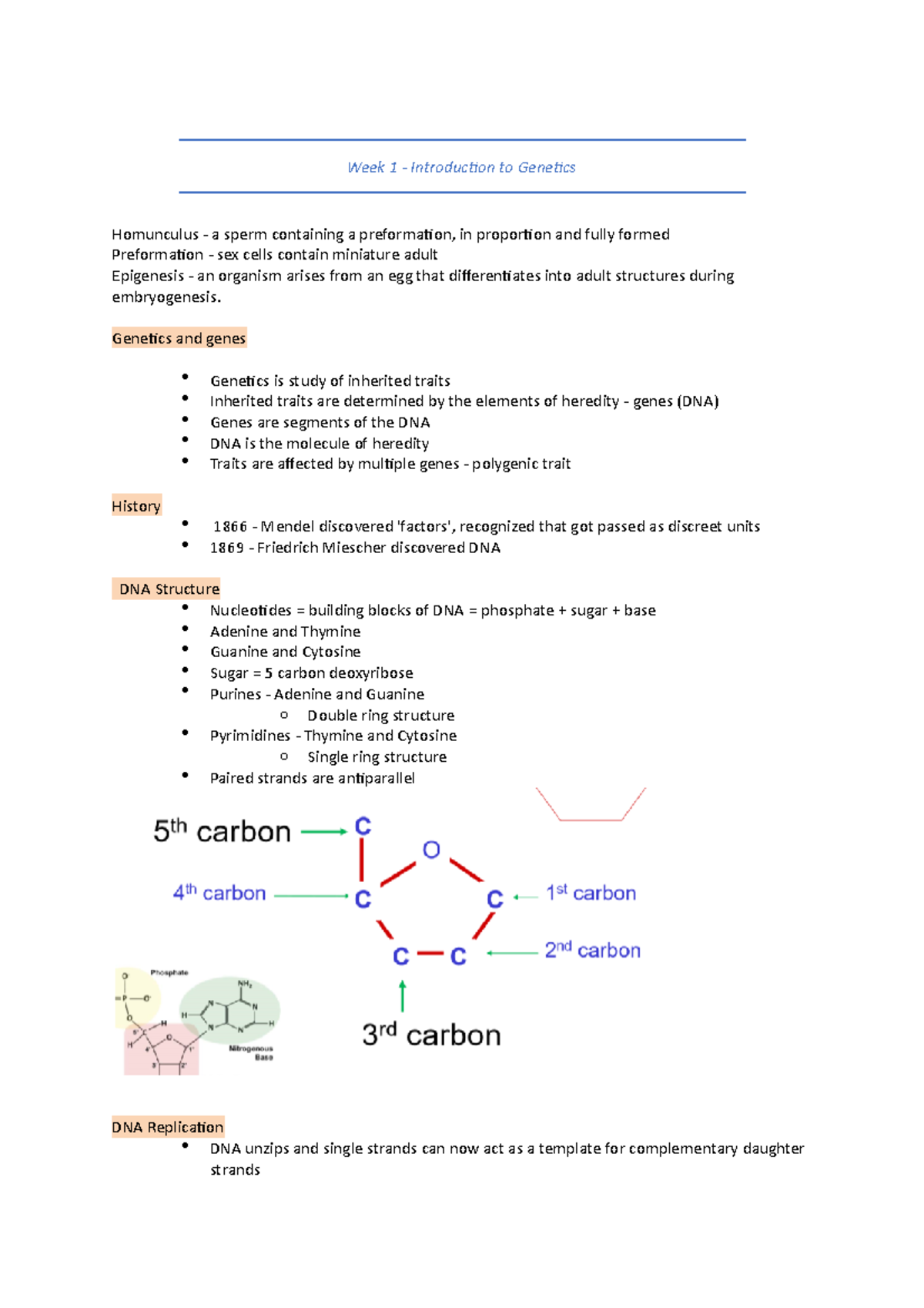 Genetic Notes week 1-6 - Week 1 - Introduction to Genetics Homunculus ...
