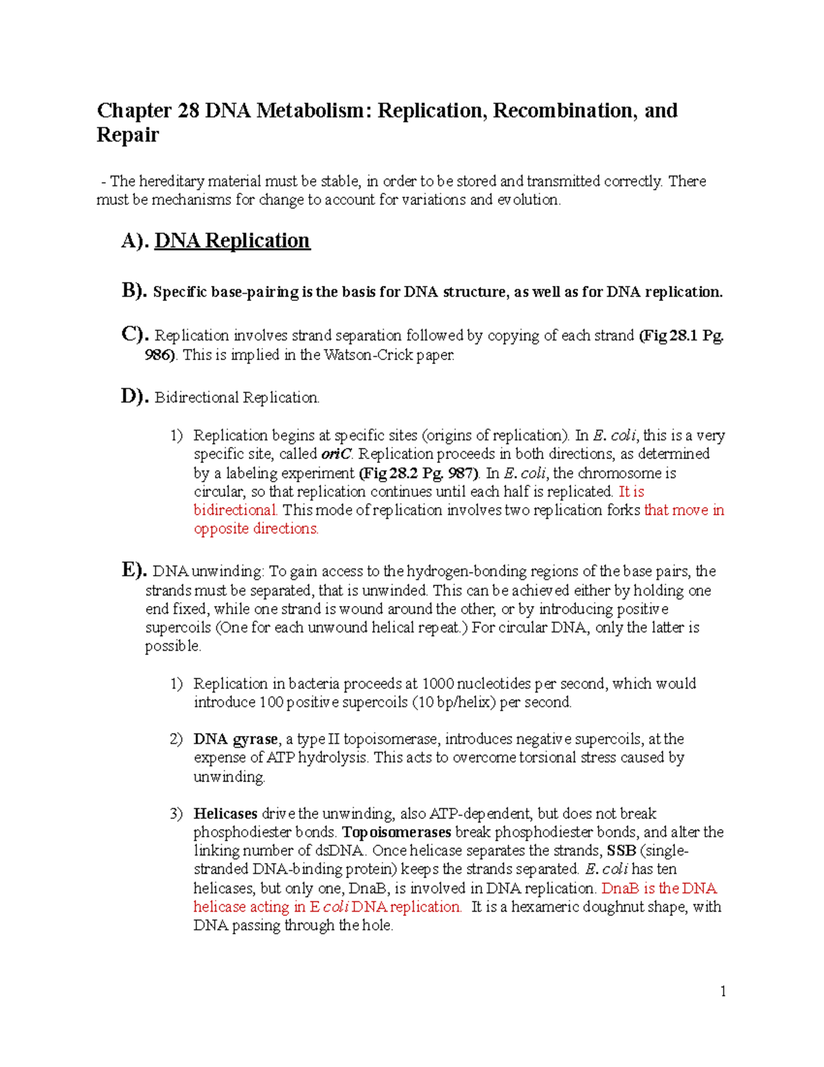 Biochem II Chapter 28 Notes DNA Replication - Chapter 28 DNA Metabolism ...