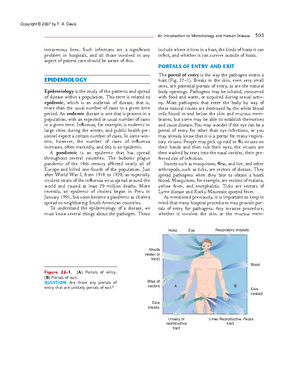 Anatomy and Physiology (52) - Human Development—growth of a fertilized ...