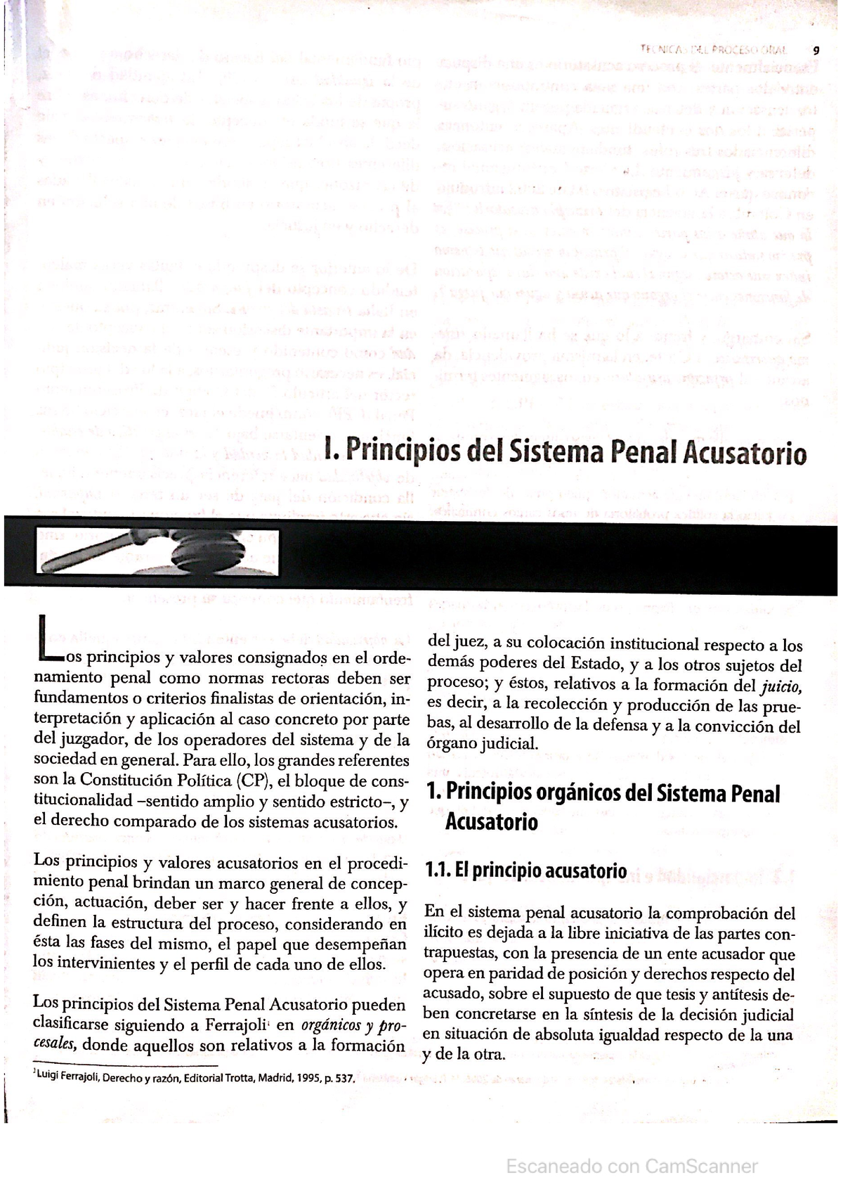 2. Principios DEL Sistema Acusatorio - Derecho Penal Colombiano - Studocu