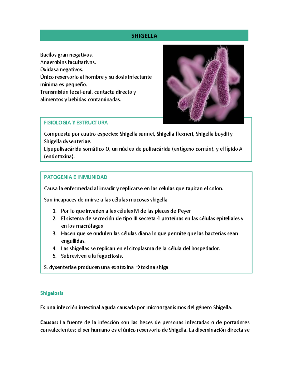 9. Shigella y Salmonella Apuntes SHIGELLA Bacilos gran negativos