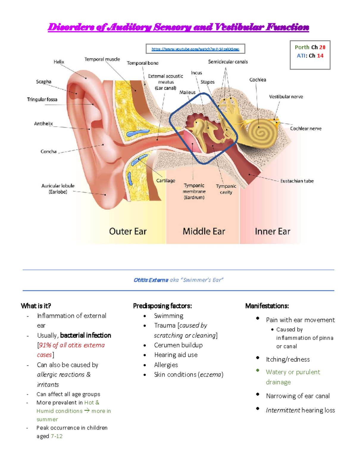 Auditory Disorders PDF - Otitis Externa aka “Swimmer’s Ear” What is it ...