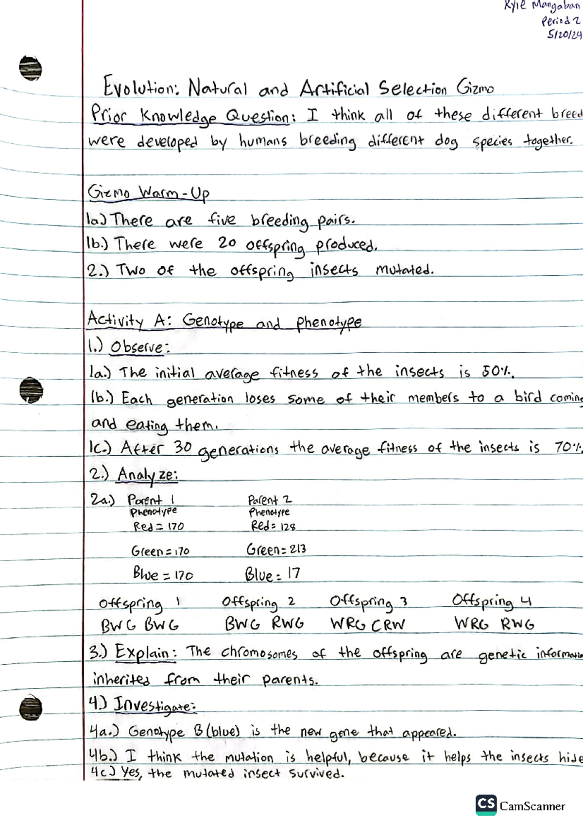 Artificial Selection Explained: Gizmo Answers & Real World Examples - bkte6r4