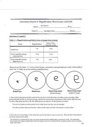 Unit 7 Worksheet - Worksheet for Unit 7 1. Name two distinct vital life ...