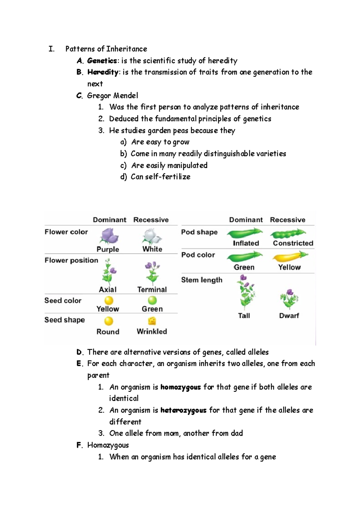 Chapter 9 Lecture Notes - I. Patterns of Inheritance A. Genetics: is ...