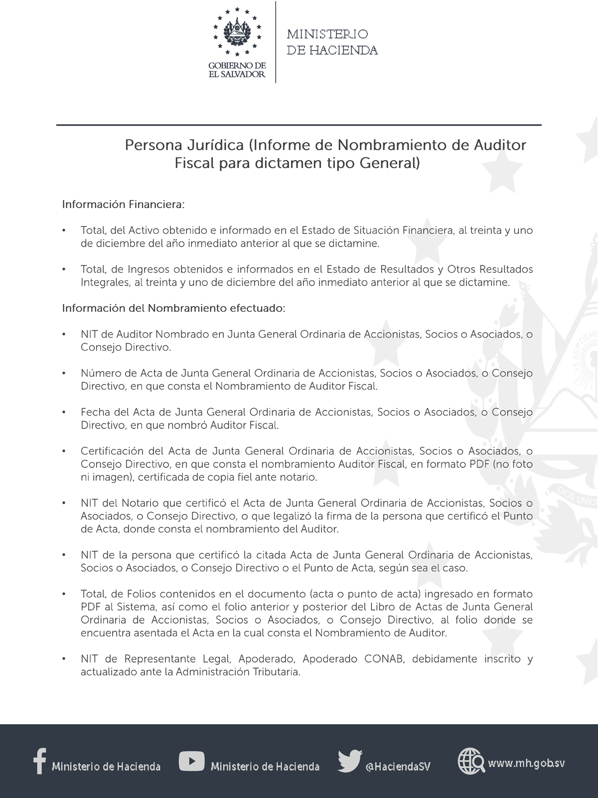 Persona Jurídica Informe De Nombramiento De Auditor Fiscal Para