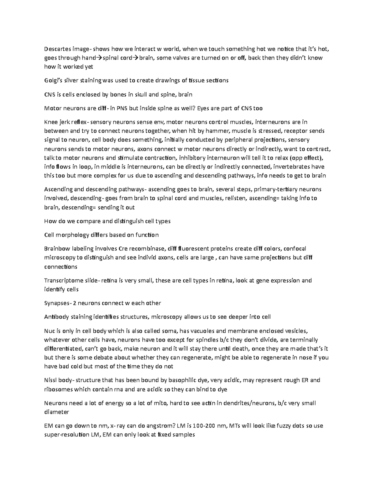 Ma cell bio of neurons Descartes image shows how we interact w world