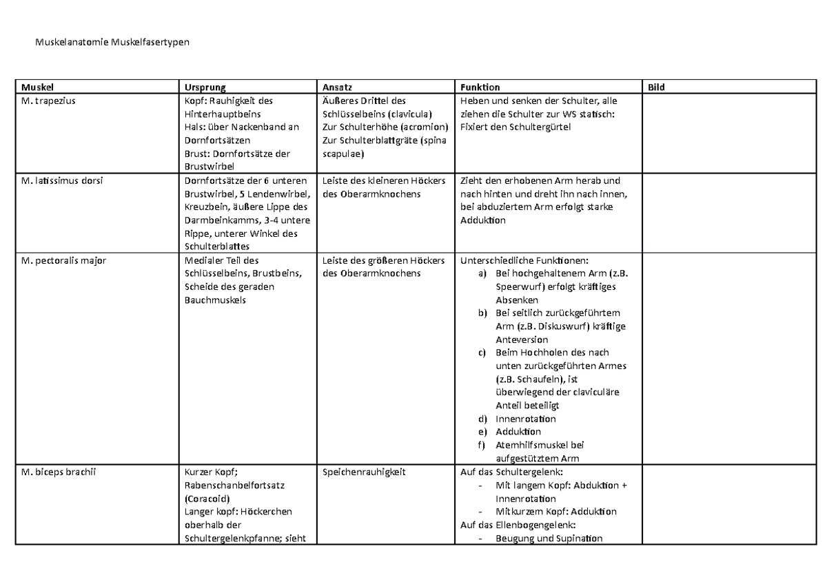 Medizin Seminar Vorbereitung Muskelanatomie Muskelfasertypen Muskel
