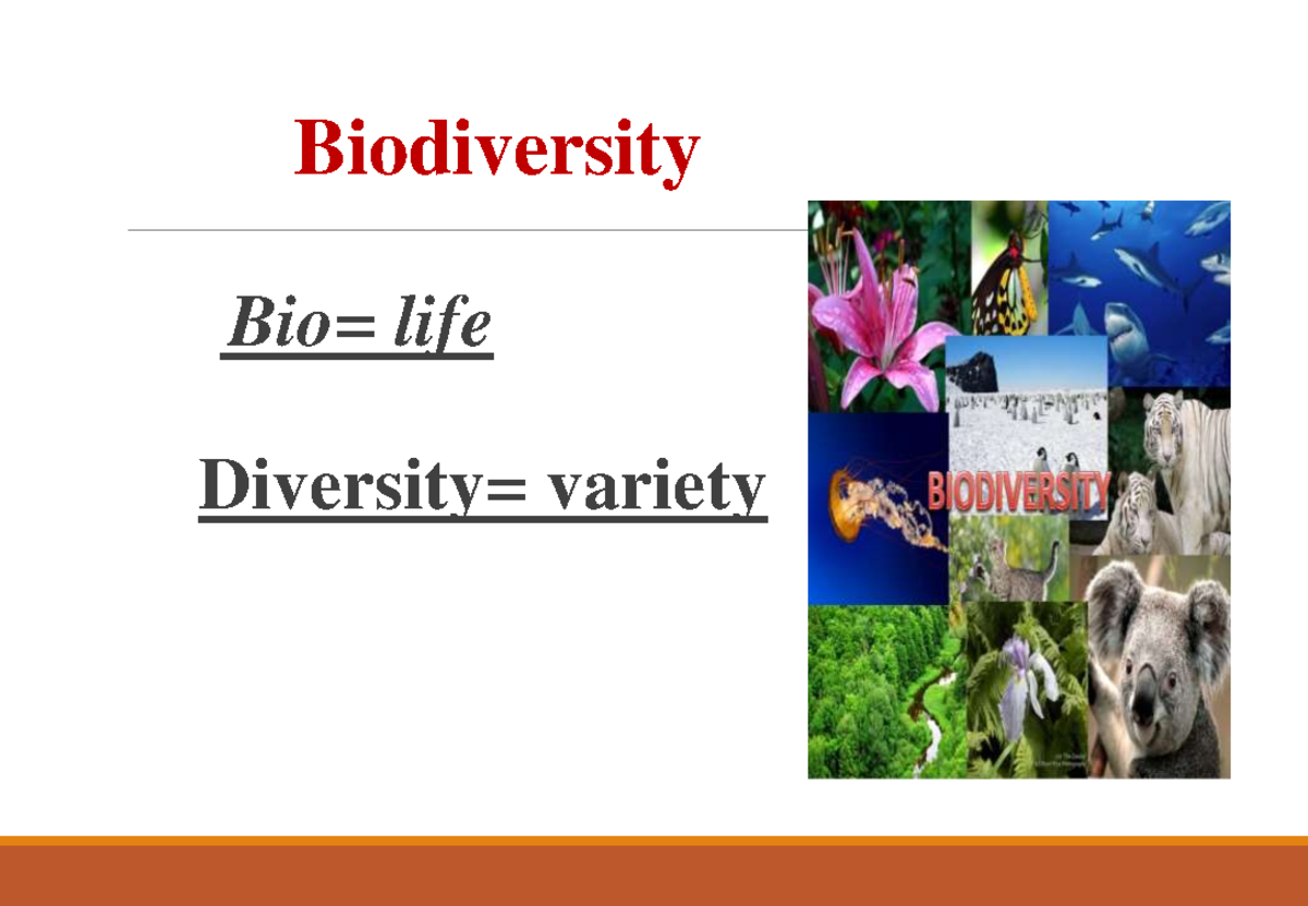 Biodiversity Presentation (Study Material) - Biodiversity Bio= life ...