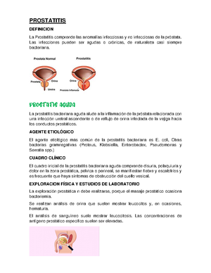 Preguntas de uro - Preguntas de escroto agudo y estenosis uretral Se ...