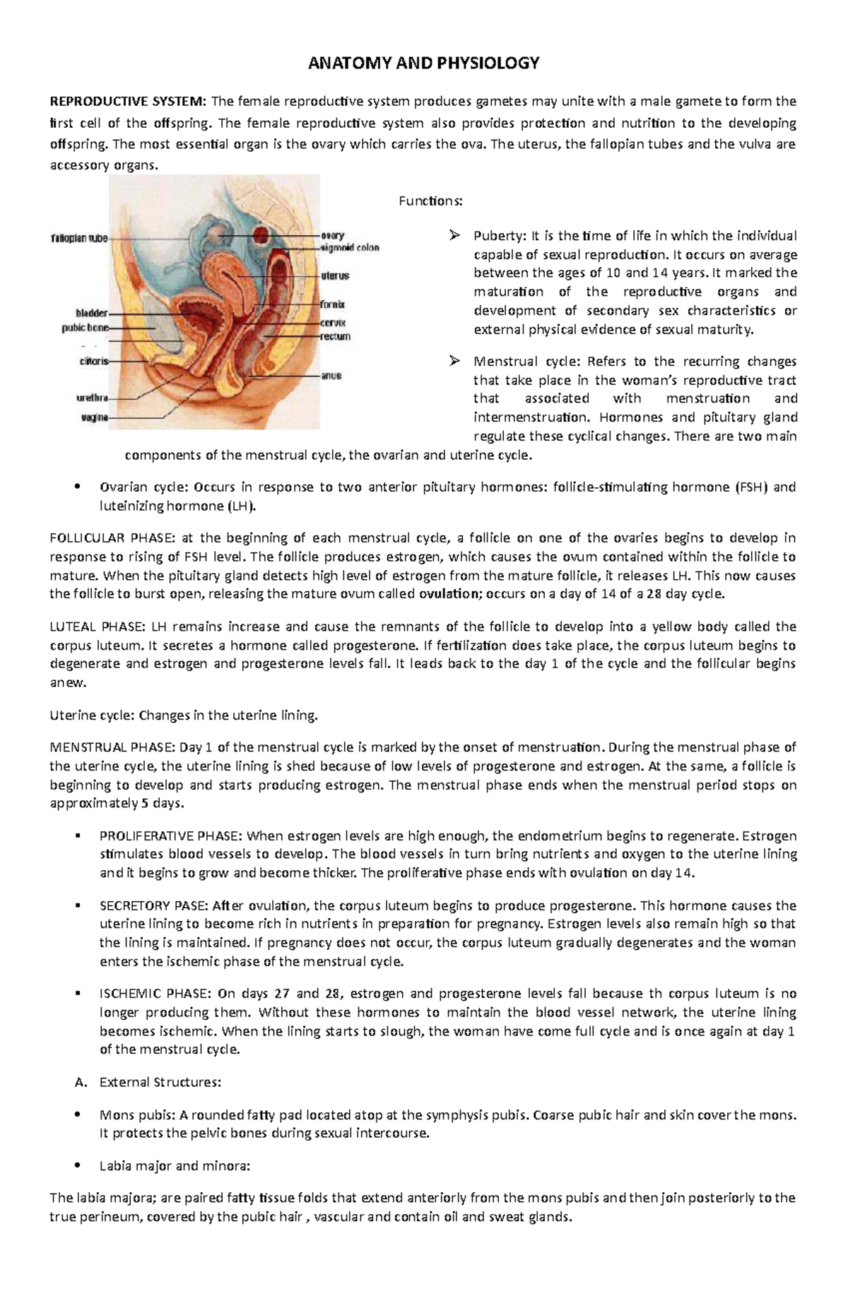 341522993 Anatomy AND Physiolog myoma docx - ANATOMY AND PHYSIOLOGY ...