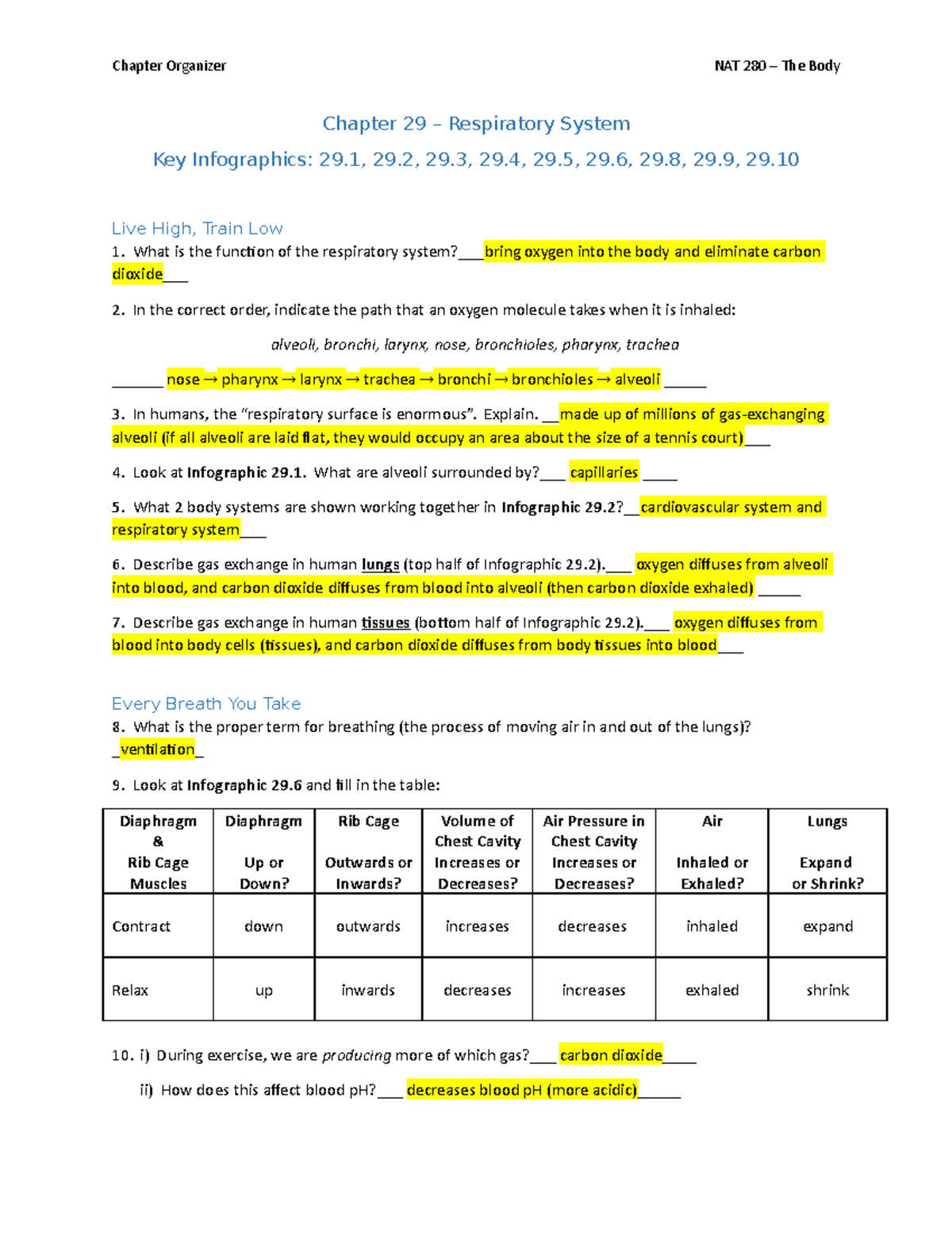 Chapter 29Respiratory Answer KEY Chapter Organizer NAT 280 The Body