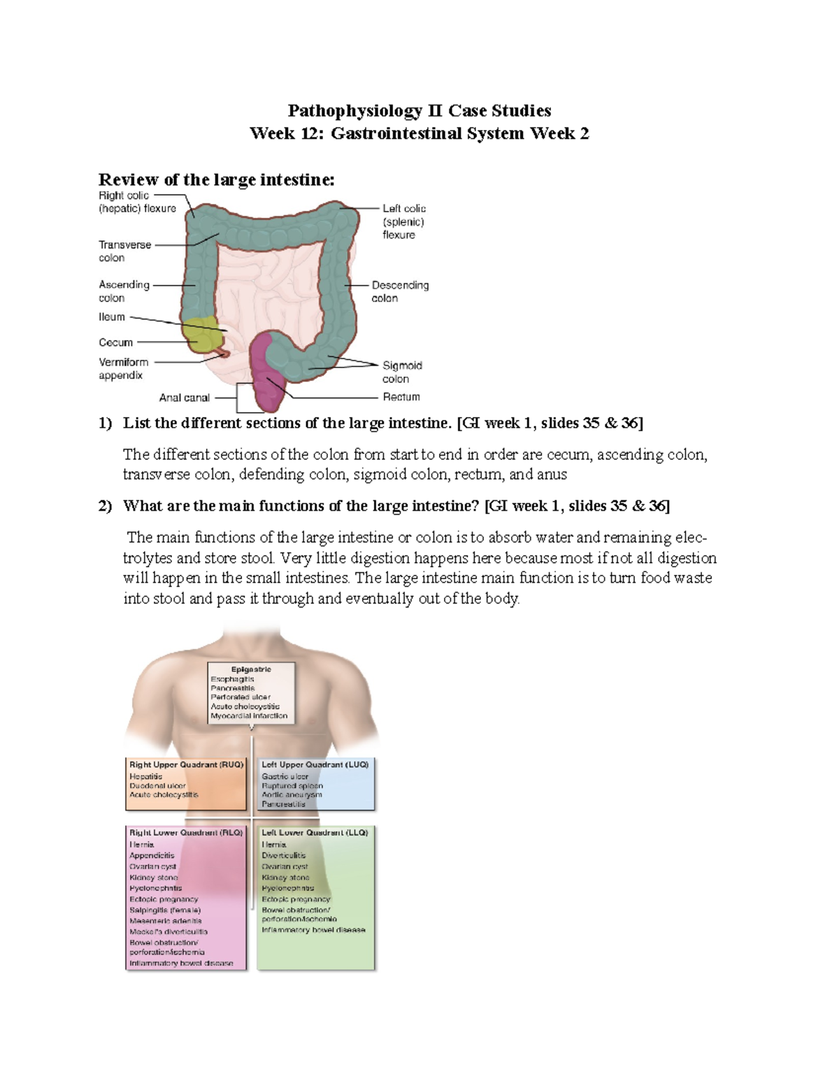 Patho II Week 12 Case Studies - Pathophysiology II Case Studies Week 12 ...