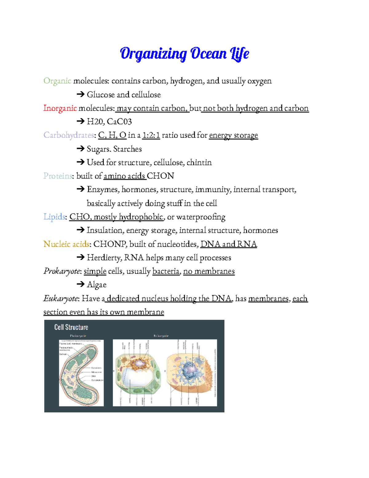 Organizing Ocean Life - Organin Ocea Lif Organic molecules: contains ...