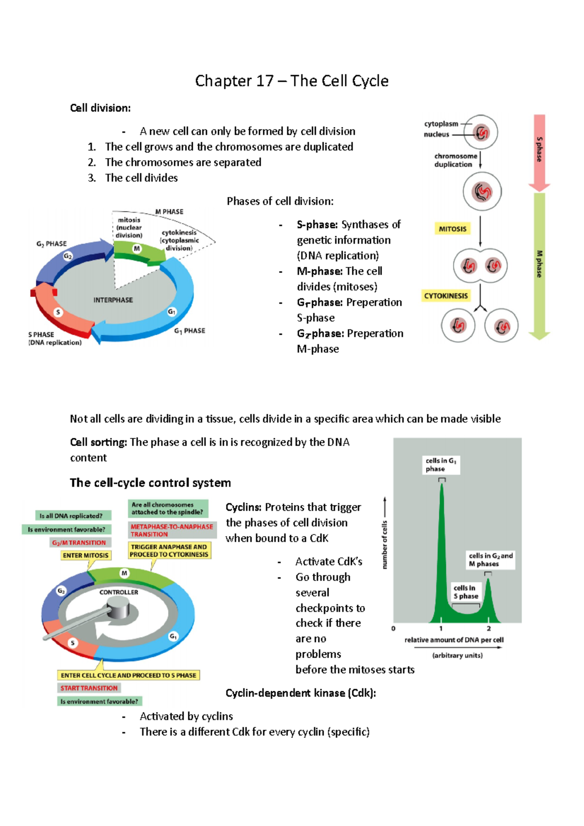 Molecular Biology of the Cell Chapter 17 - Chapter 17 The Cell Cycle ...