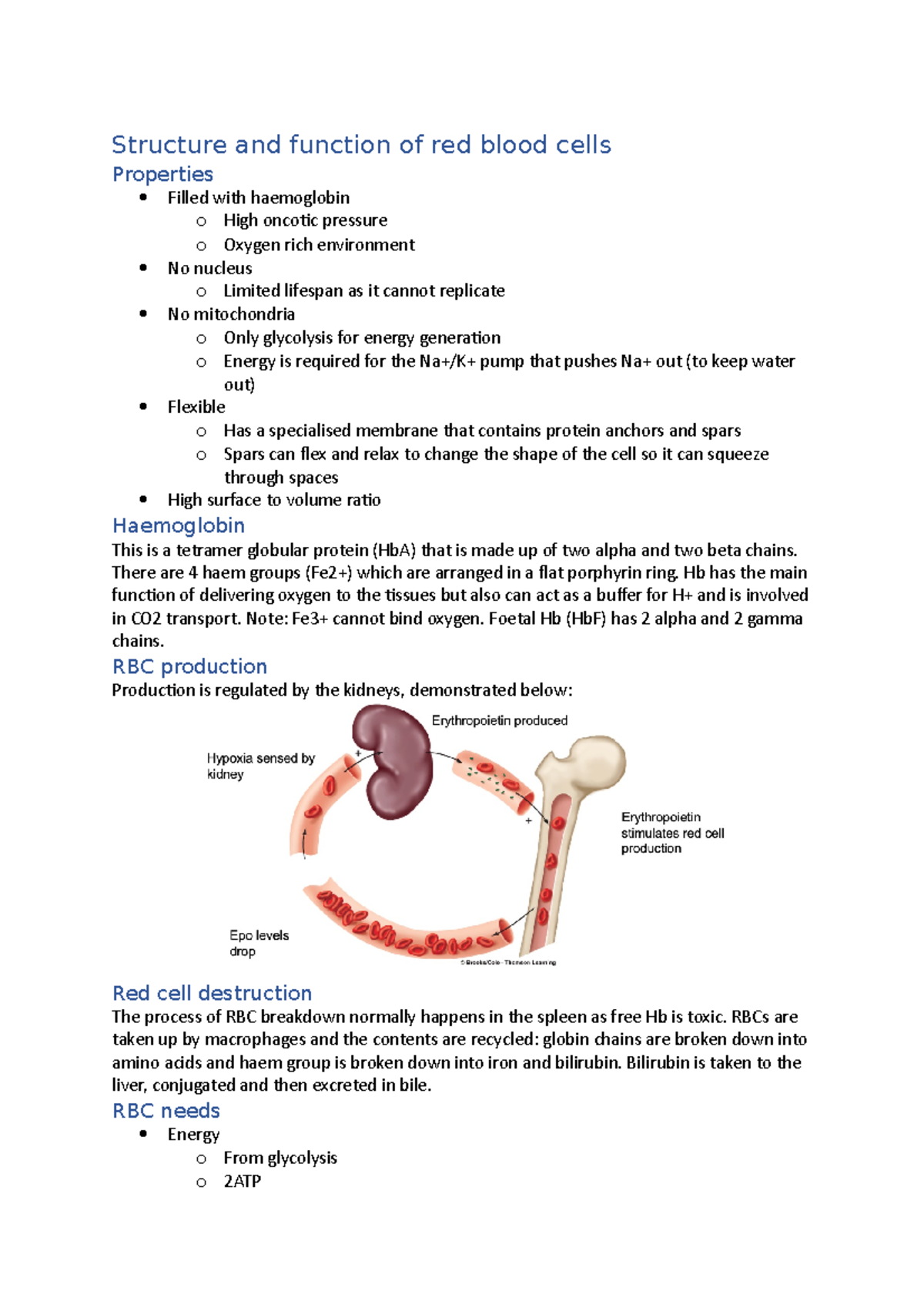 Structure and function of red blood cells - Structure and function of ...