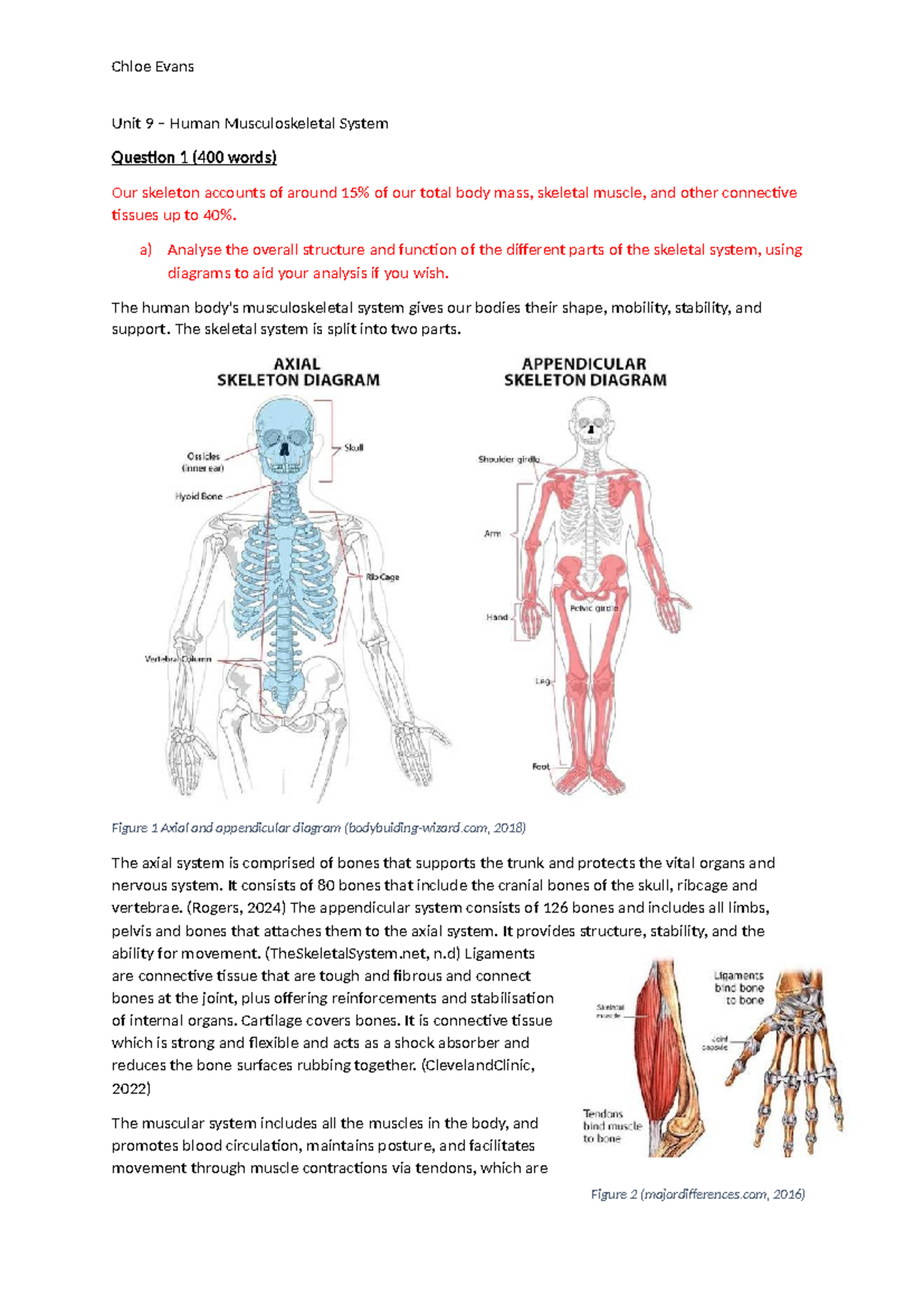 Questions - Distinction Received - Unit 9 – Human Musculoskeletal ...