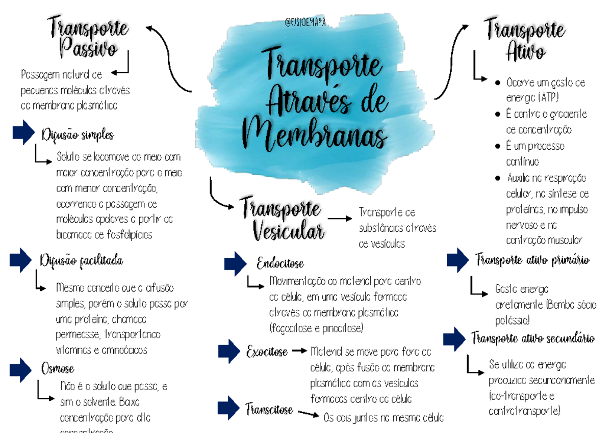 Mapa Mental Transporte