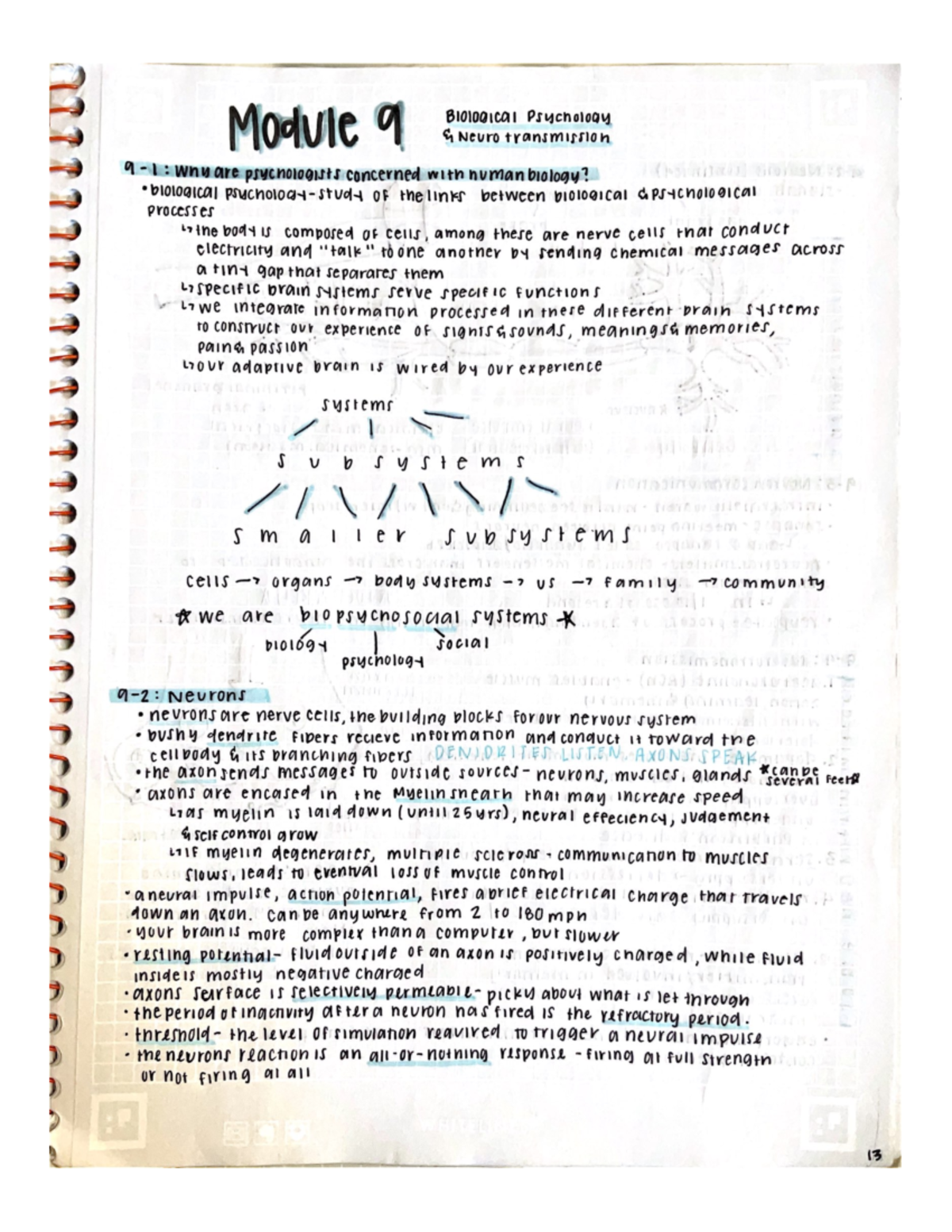 AP Psychology Module 9 - Biological Psychology And Neurotransmission ...