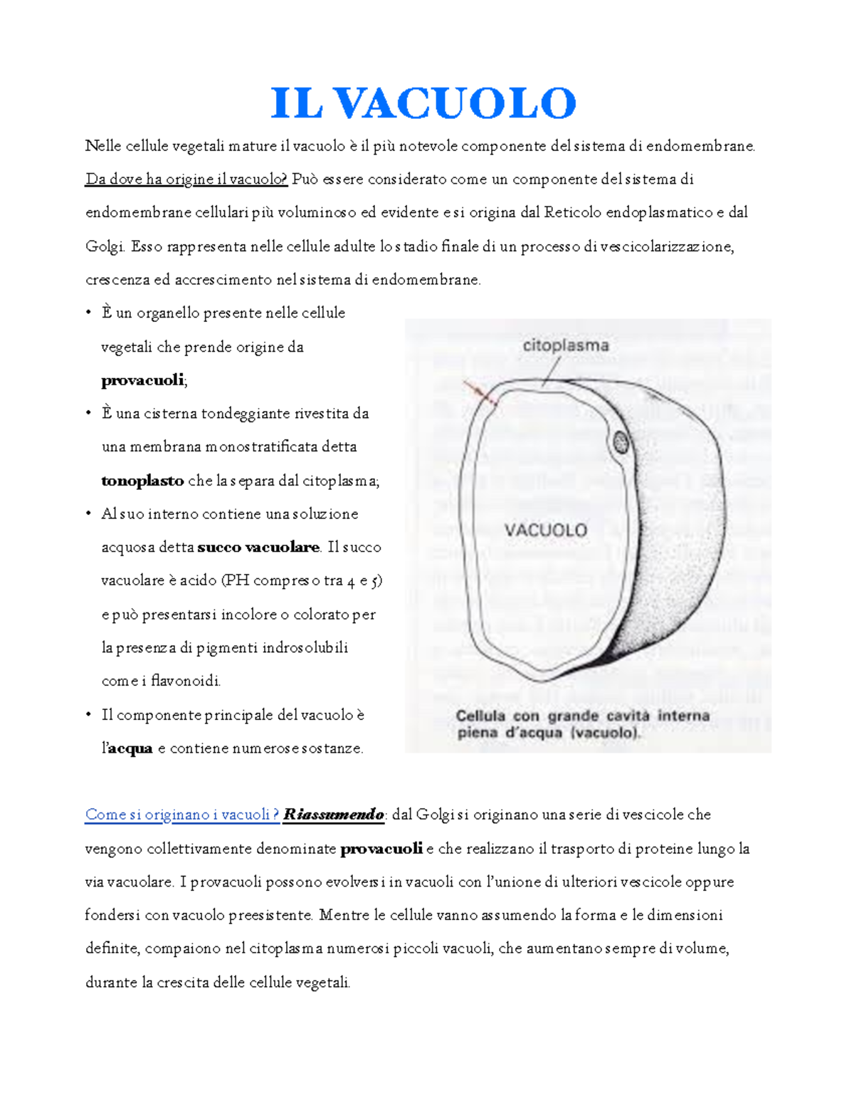 funzione delle cellule vegetali del vacuolo centrale