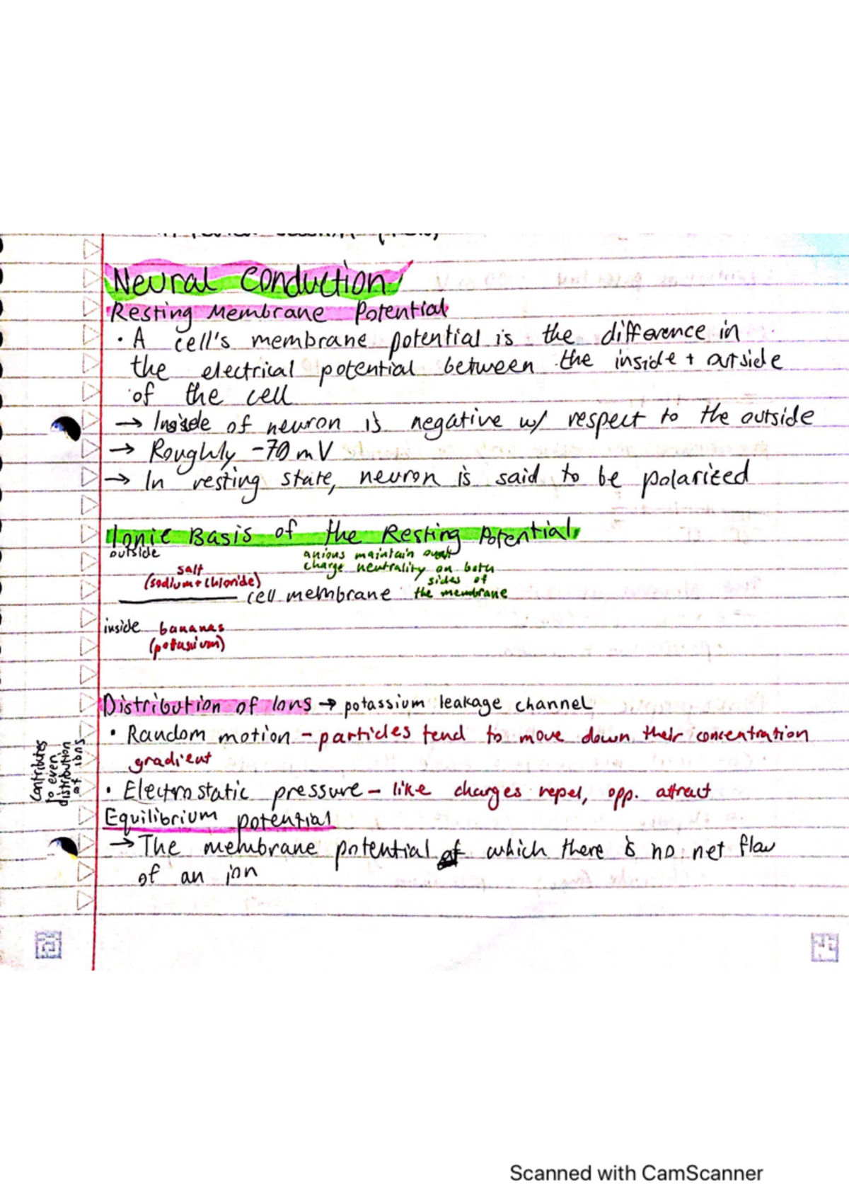 1 - Lecture Notes For Module 1.5 - BCS 110 - Studocu