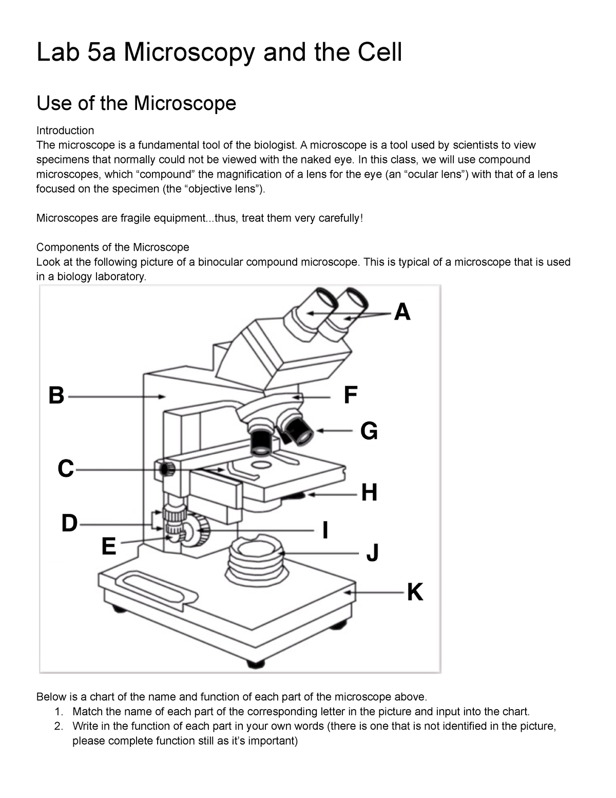 Lab 5a Microscopy and the Cell - A microscope is a tool used by ...