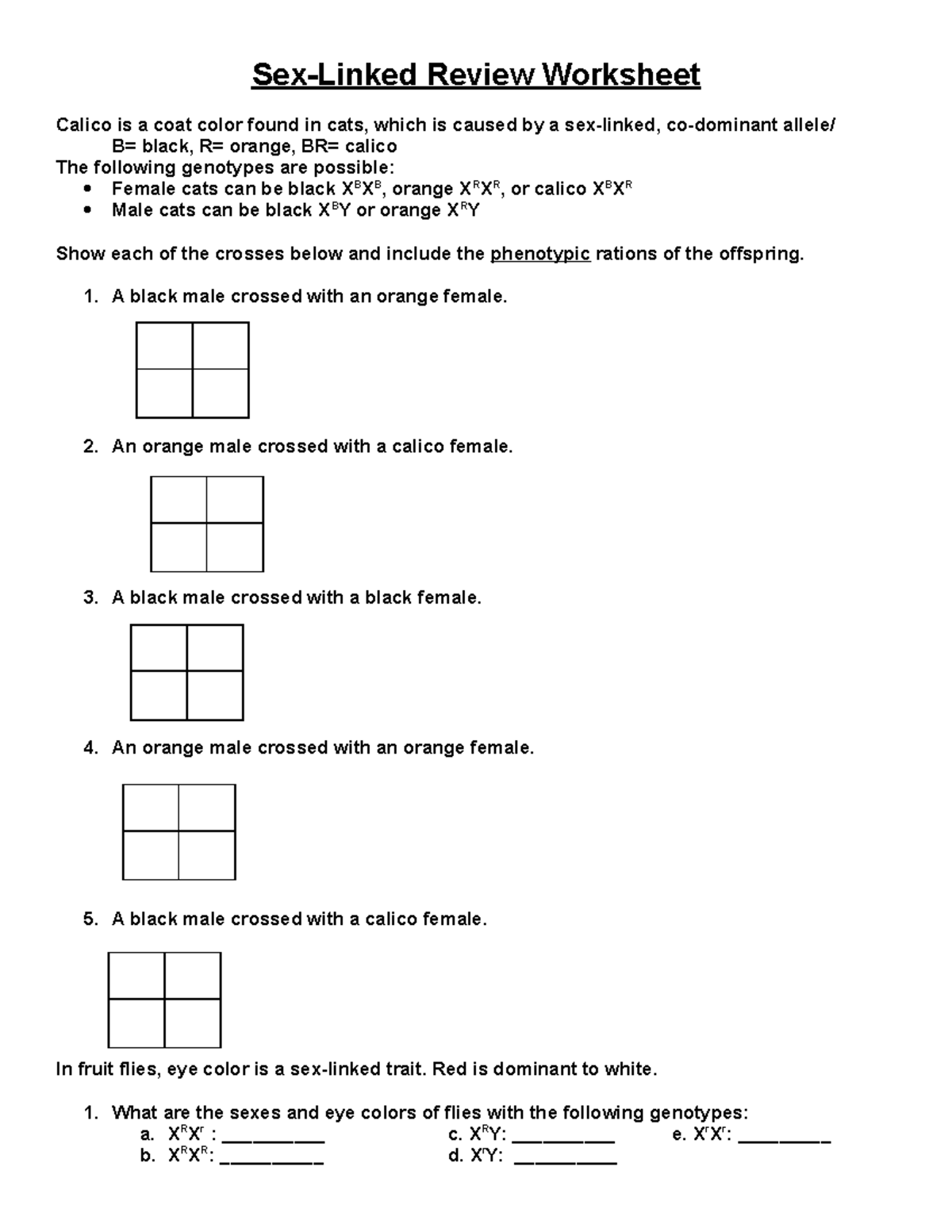 Sexlinked Review Worksheet Sex Linked Review Worksheet Calico Is A Coat Color Found In Cats