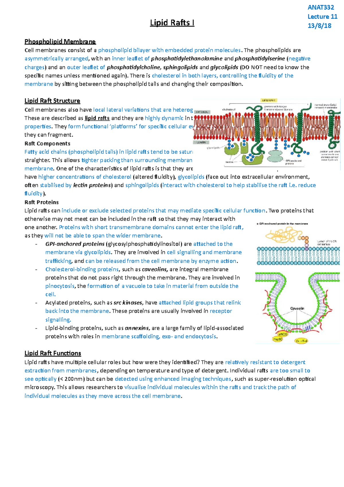 Lecture 11 - Lipid Rafts I - Lipid Rafts I Phospholipid Membrane Cell ...