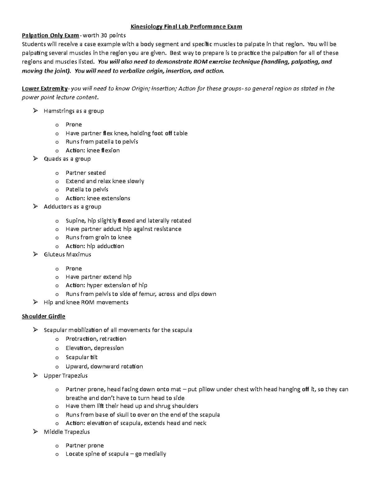 Final palpation exam - how to palpate muscles of the upper and lower ...