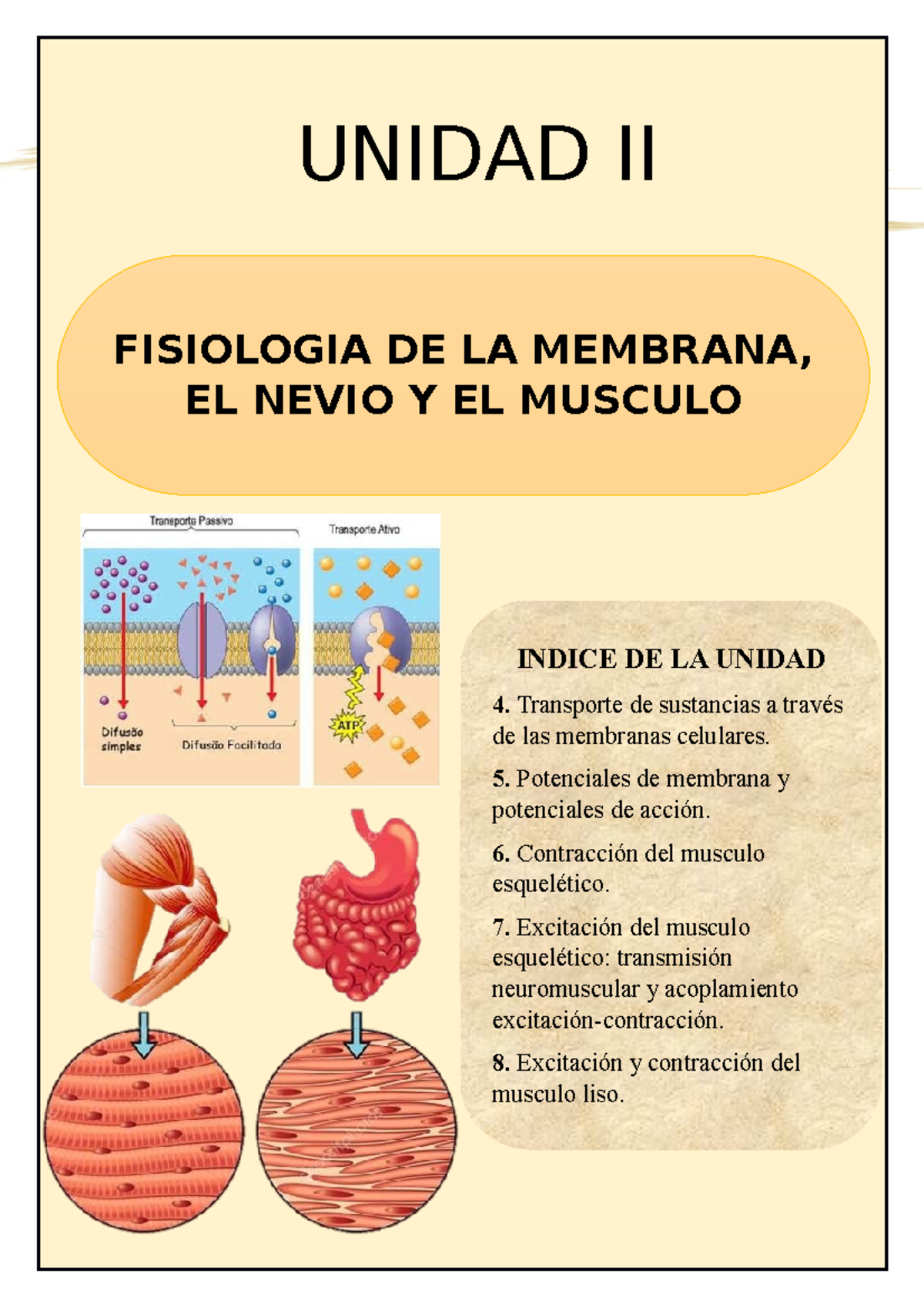 unidad 2 guyton UNIDAD II INDICE DE LA UNIDAD 4. Transporte de