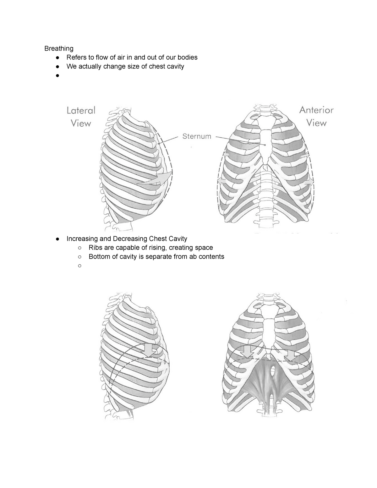 Ch 1 Anatomy of the Voice - Breathing Refers to flow of air in and out ...