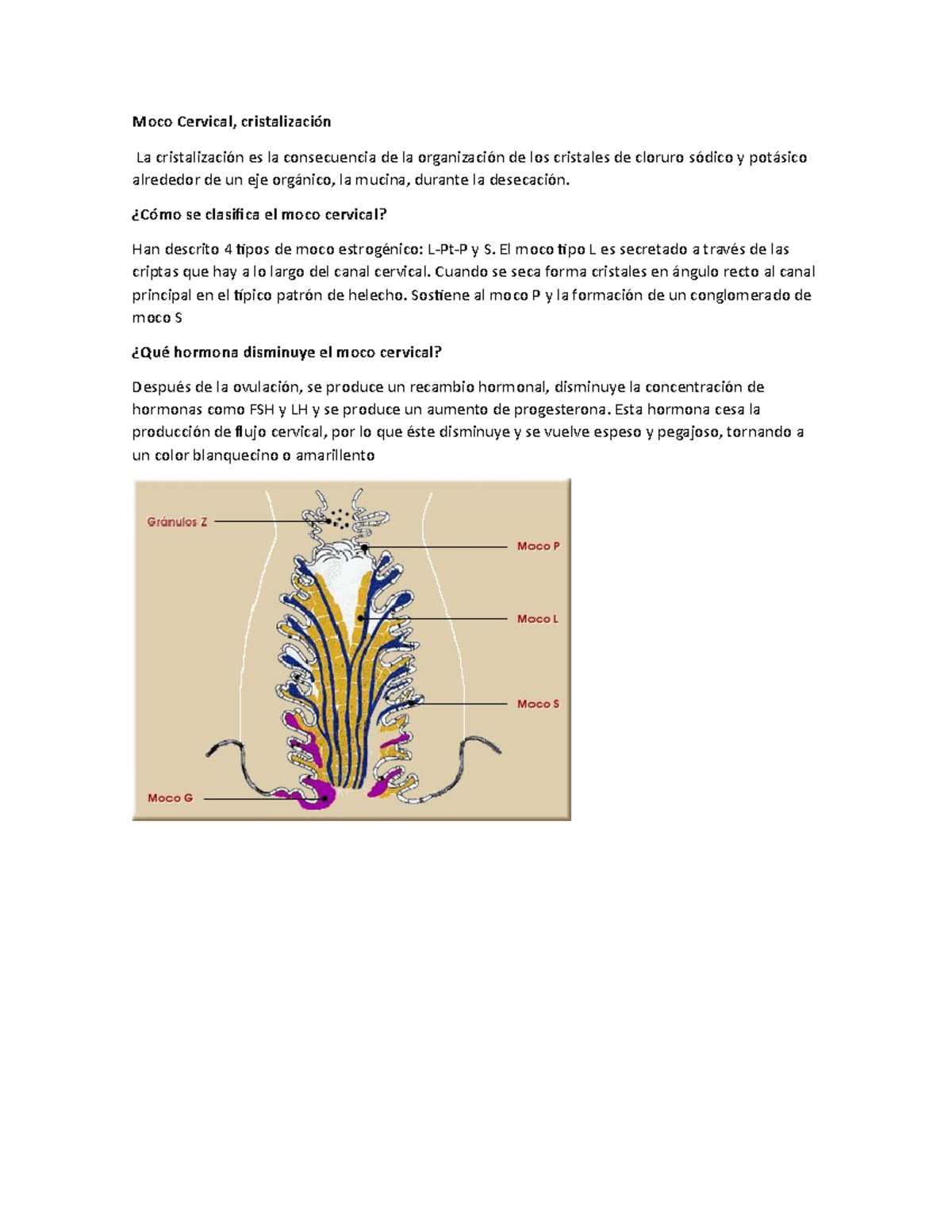 Moco Cervical - ¿Cómo se clasifica el moco cervical? Han descrito 4 ...