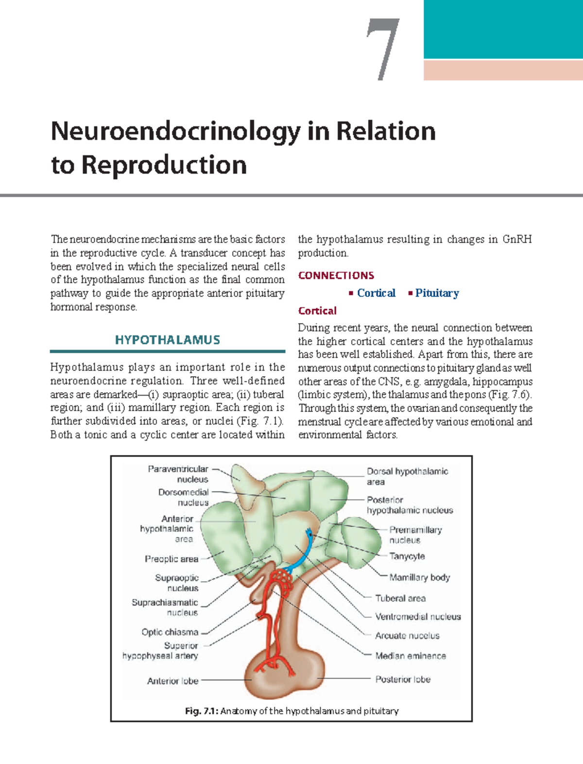 Dc duttas textbook of gynecology 10 7 Neuroendocrinology in Relation