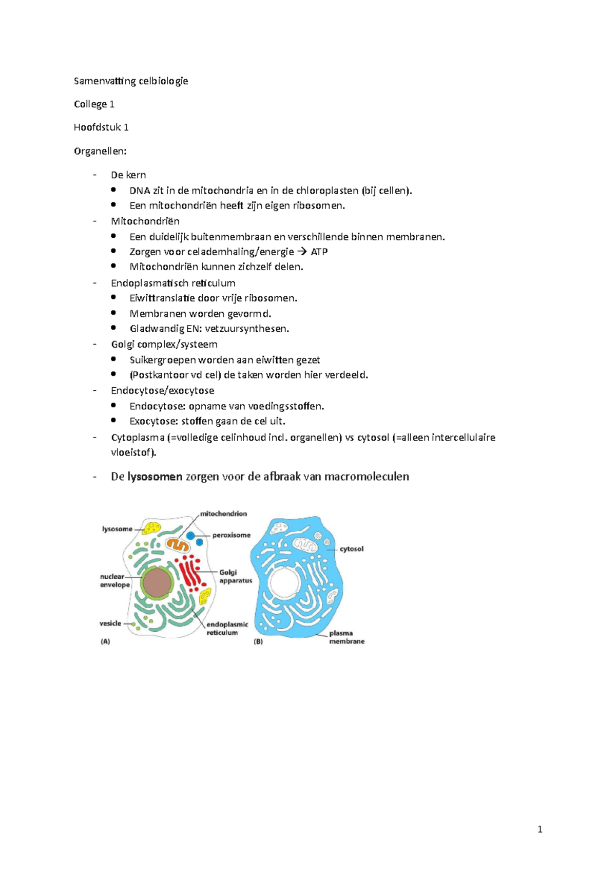 GZW-MO2 Samenvatting Celbiologie - Samenvatting Celbiologie College 1 ...