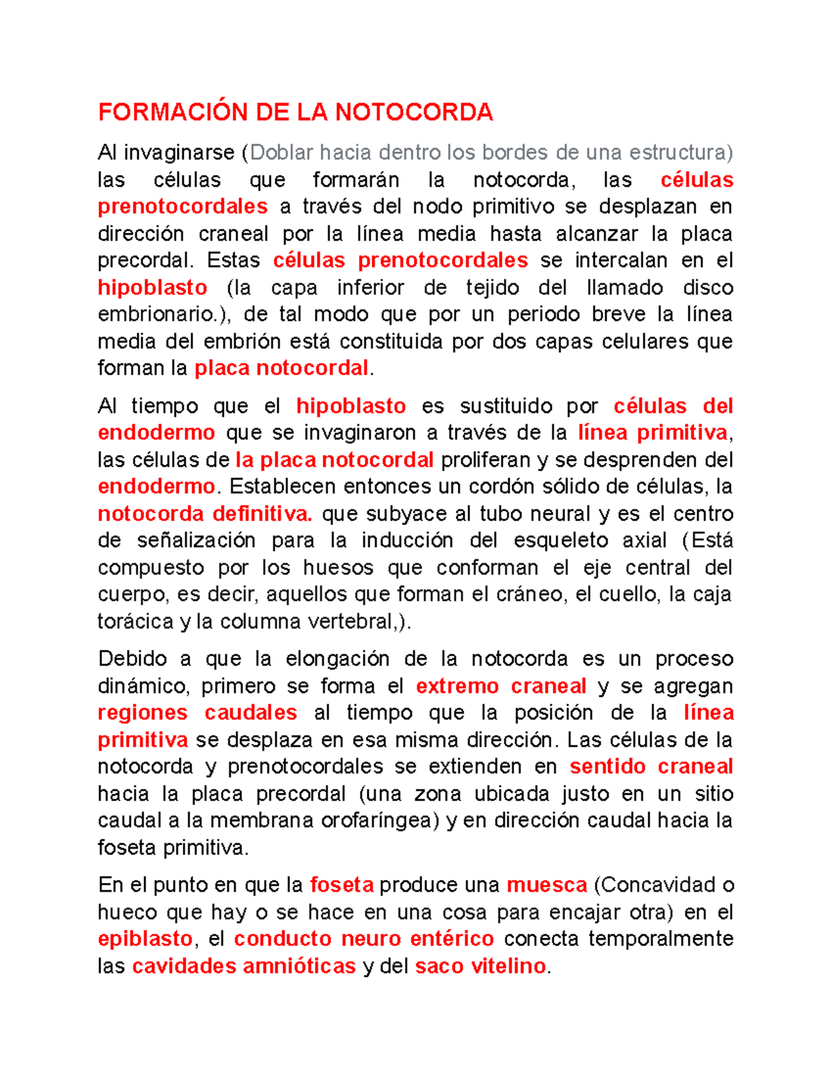 Formación DE LA Notocorda FORMACIÓN DE LA NOTOCORDA Al invaginarse