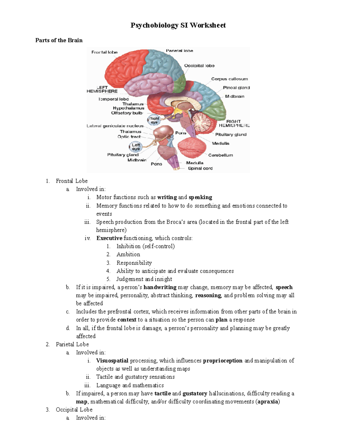 Psychobiology Si - Key -1 - Psychobiology Si Worksheet Parts Of The 