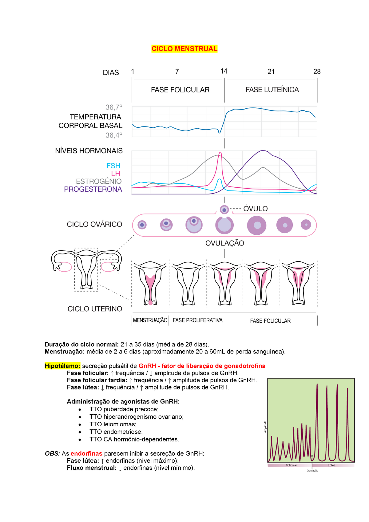 Ciclo Menstrual Ciclo Menstrual Duração Do Ciclo Normal 21 A 35 Dias Média De 28 Dias 7380