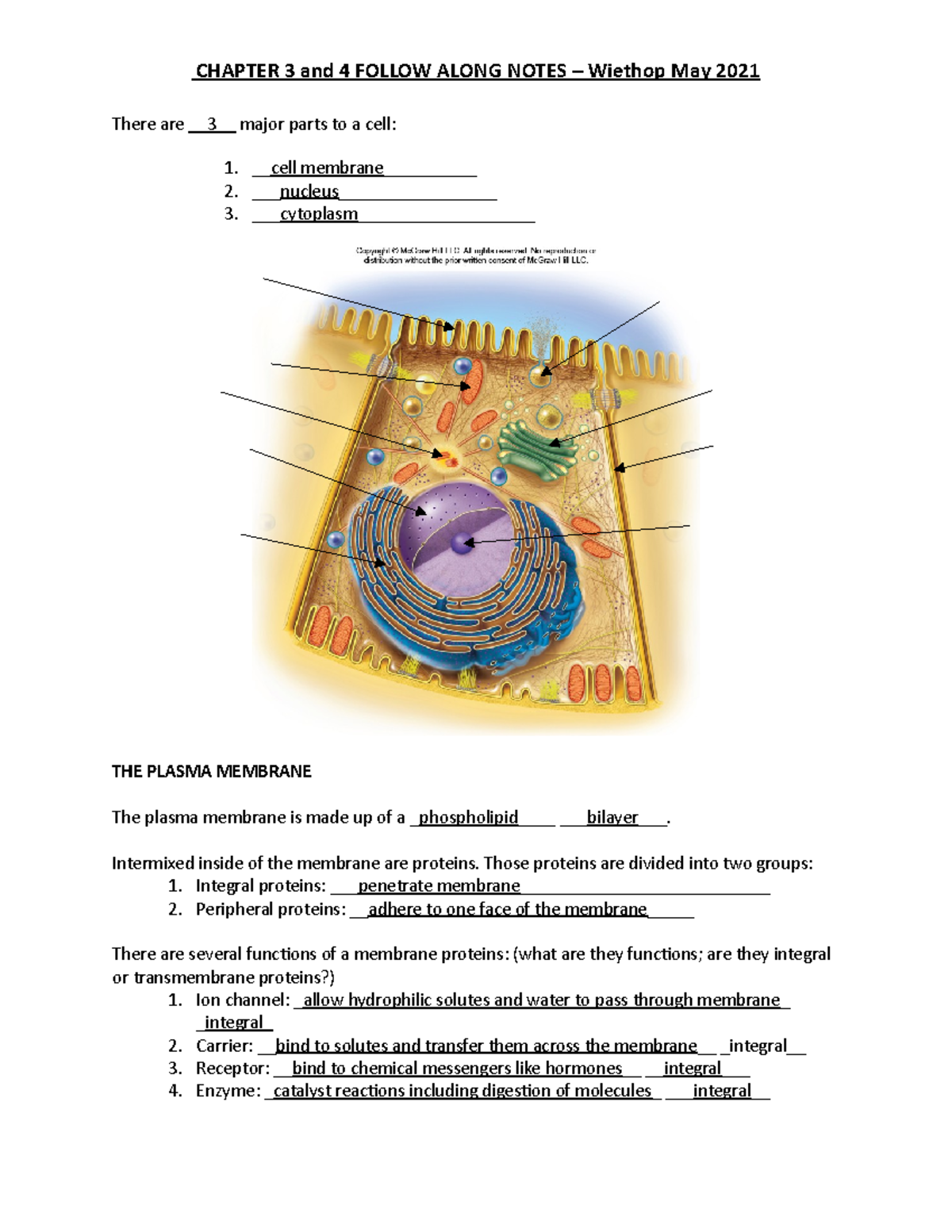 BIOS251 - Chapter 3 and 4 outline - There are 3 major parts to a cell ...