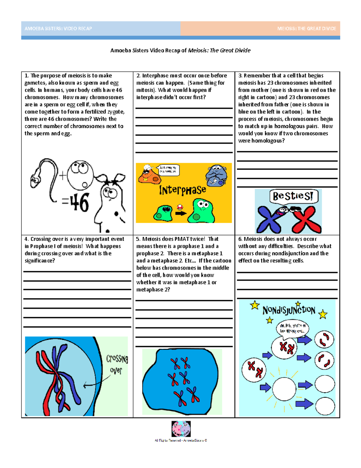 02a6b81d-amoeba Sisters Meiosis Recap - AMOEBA SISTERS: VIDEO RECAP ...