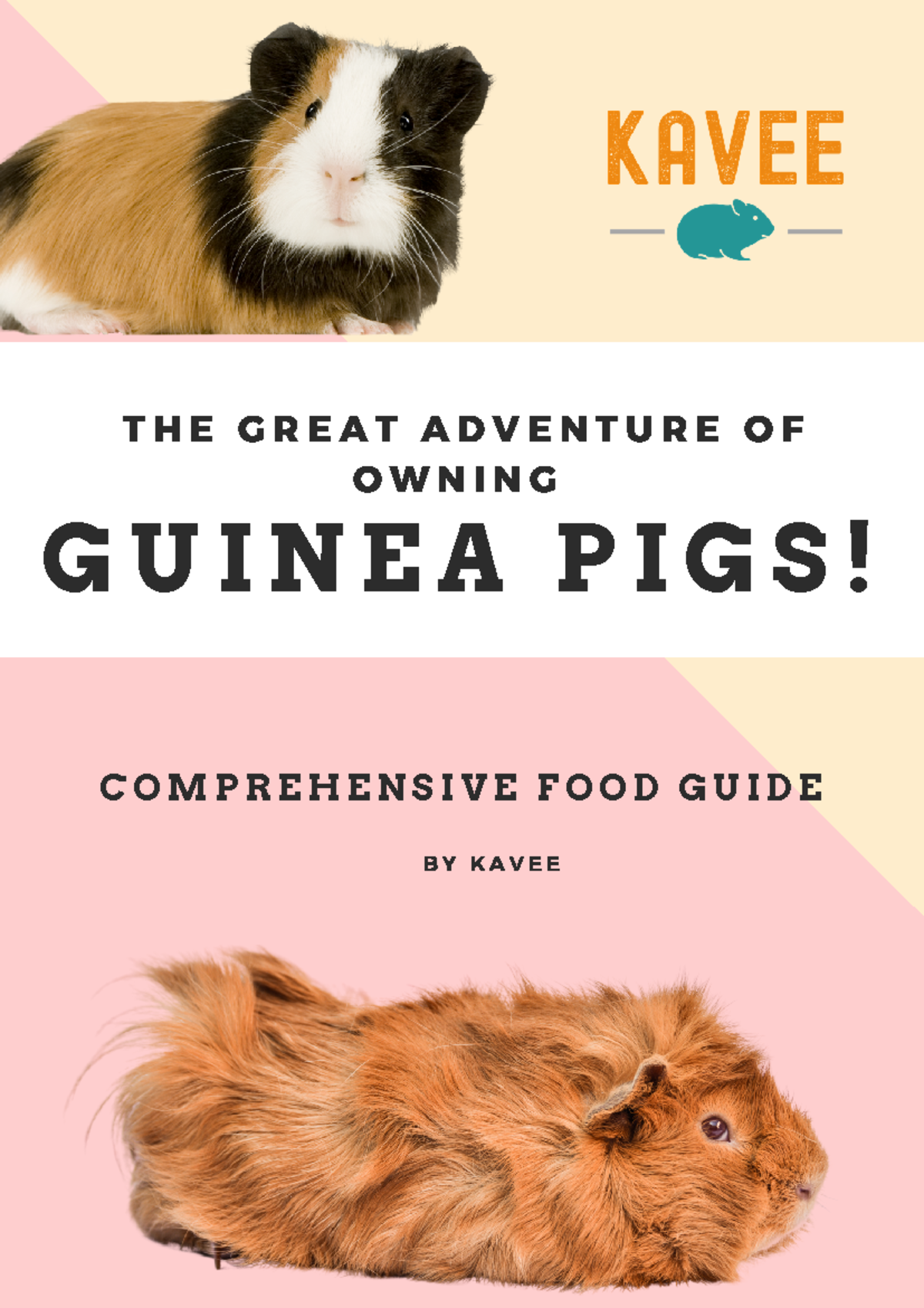 Guinea Pig Food guide - B Y K A V E E C O M P R E H E N S I V E F O O D ...