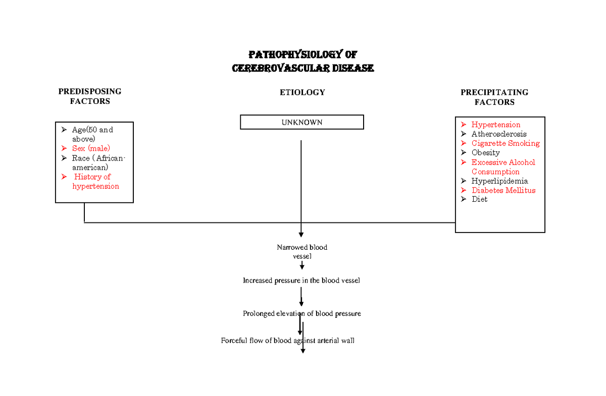 Cva Pathophysiology Schematic Diagram Pathophysiology Cva