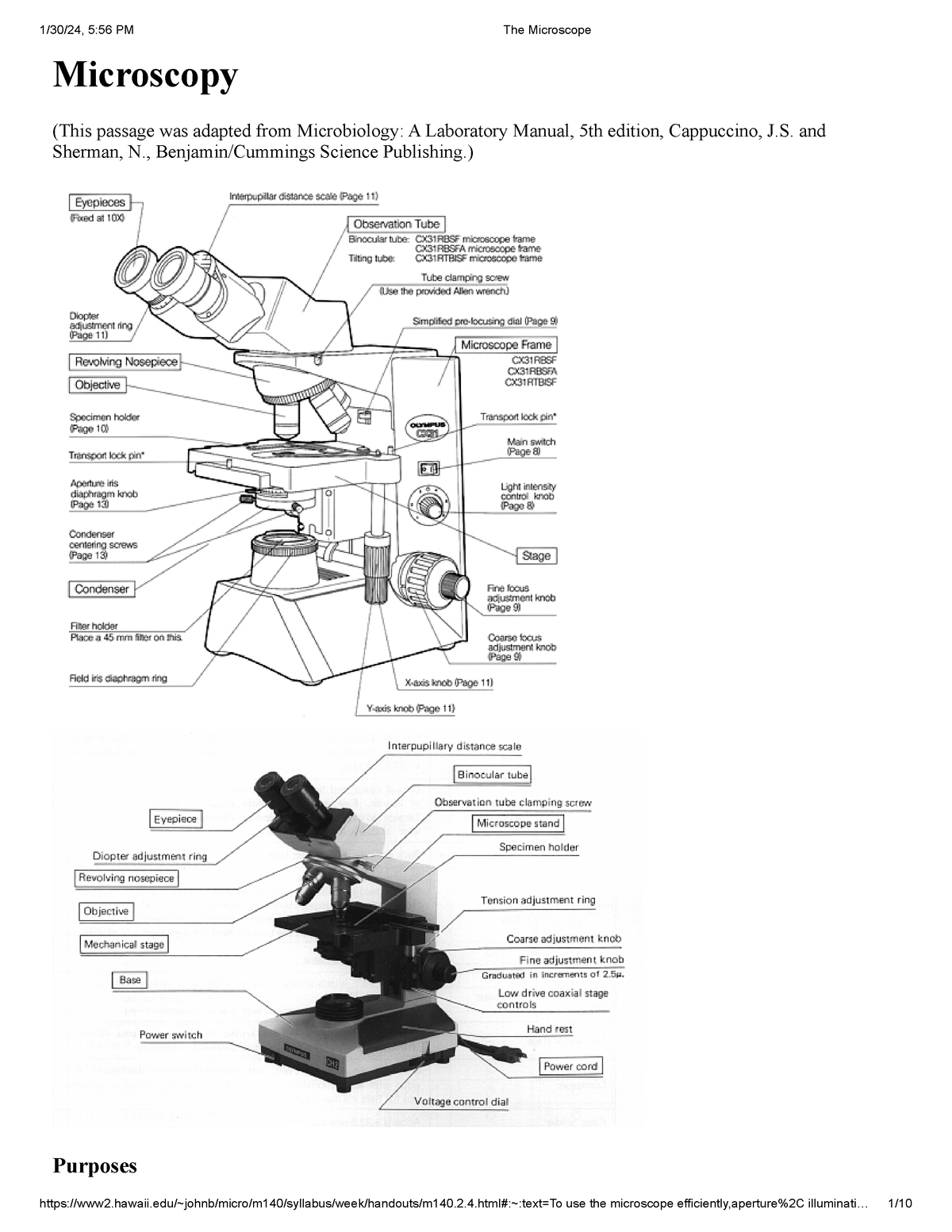 The Microscope - laboratory exercise - Microscopy (This passage was ...