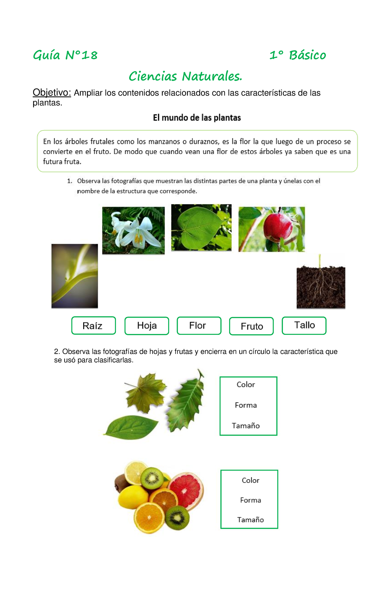 1°-básico-Cs - cfhnghjfhdf - GuÌa N∞18 1∞ B·sico Ciencias Naturales ...