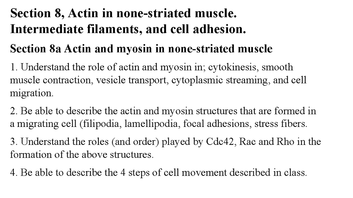 8+non-muscle+actin%2C+IFs%2C+adhesion-4 - Section 8, Actin in none ...