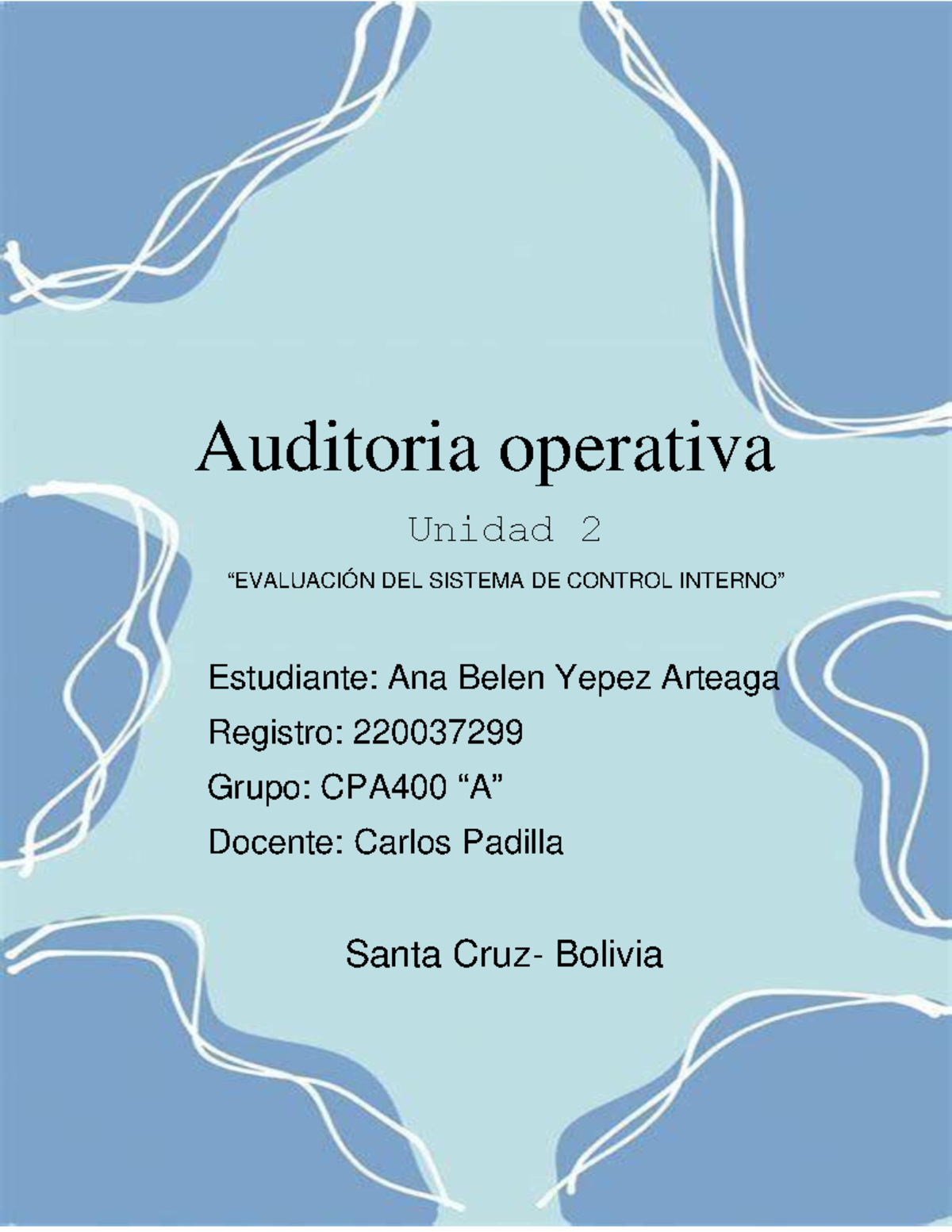 EvaluacióN DEL Sistema DE Control Interno - Auditoria operativa Unidad ...