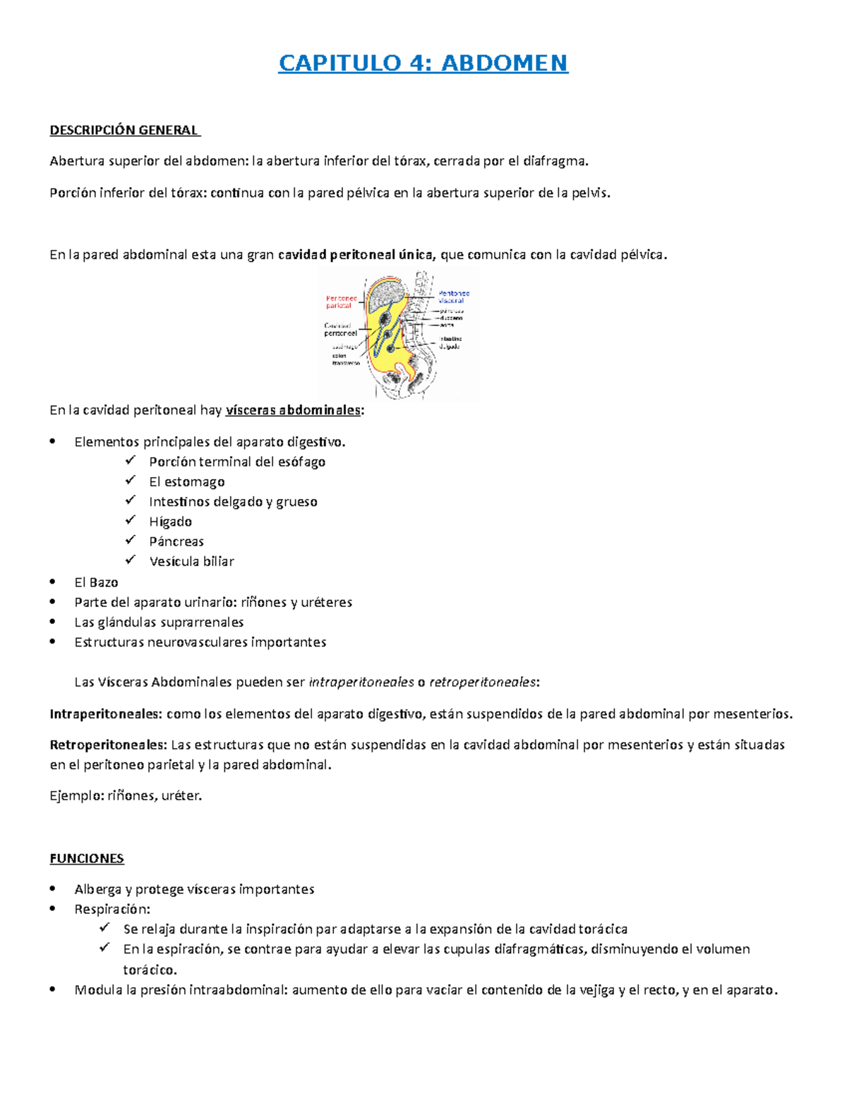 Abdomen, Anato II, 2do Parcial - CAPITULO 4: ABDOMEN DESCRIPCIÓN ...