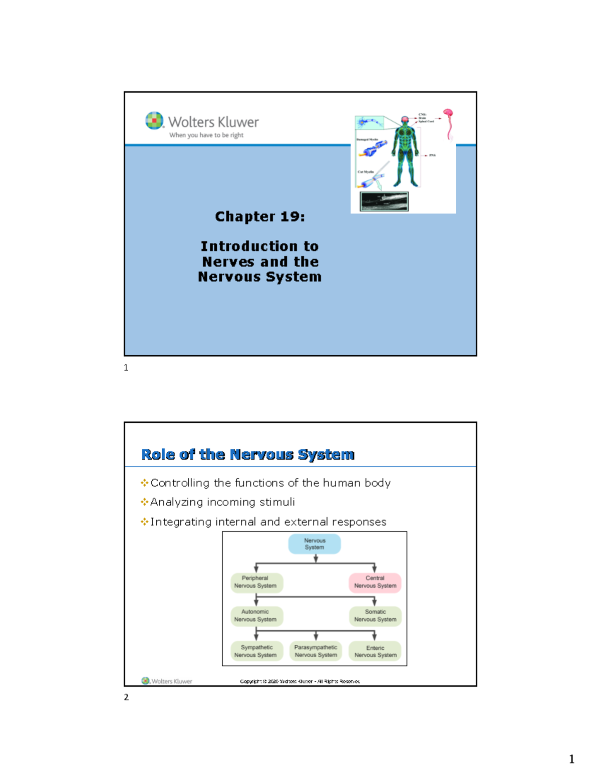 Chapter 19 - Teacher notes - Copyright © 2013 Wolters Kluwer Health ...