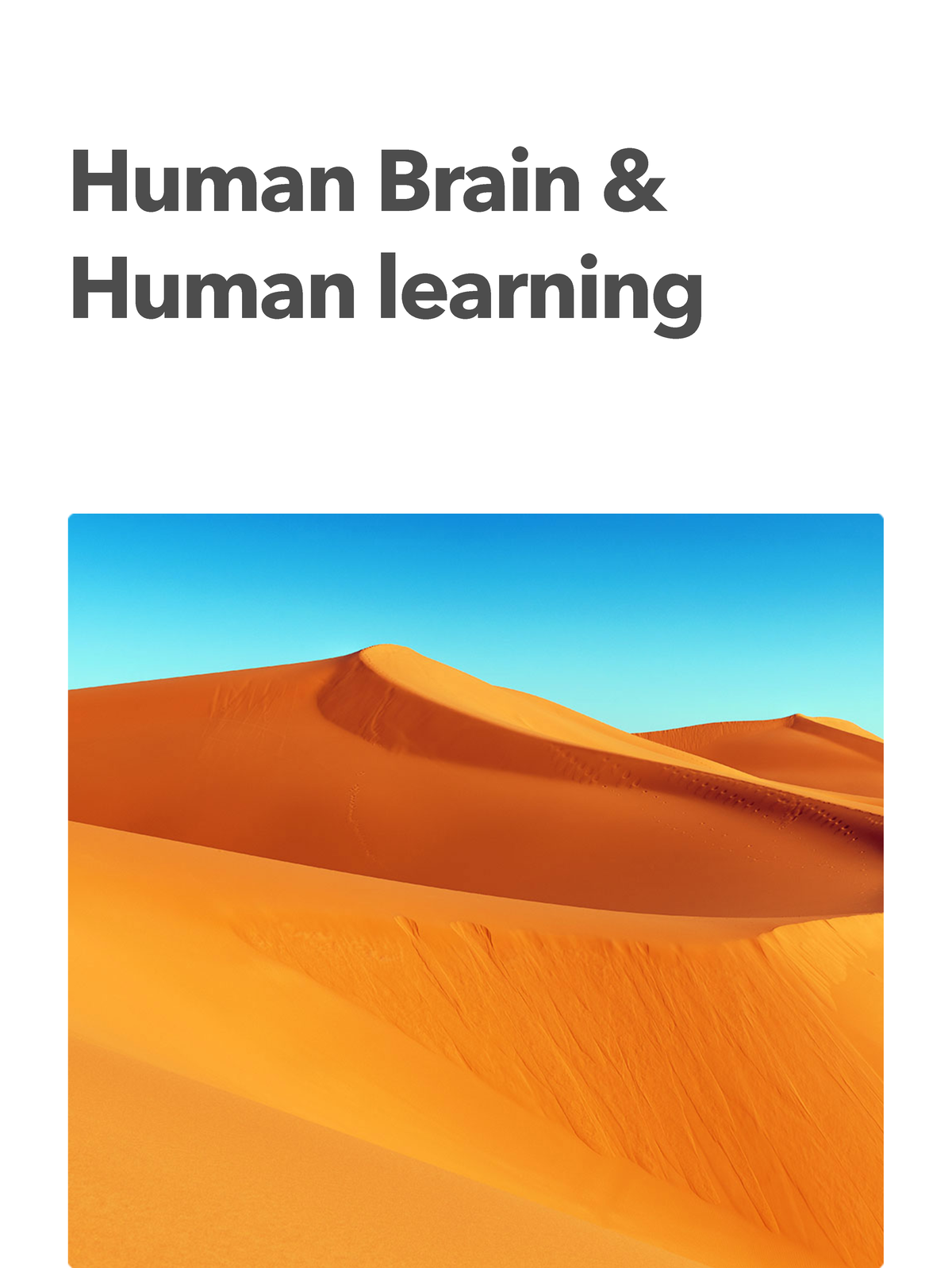 human-brain-human-learning-essay-human-brain-human-learning-how